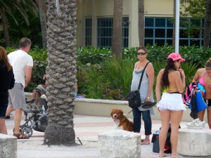 Miami Beach Walkway