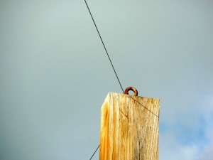 ERUV Miami Beach