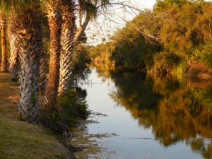 Hernando Beach